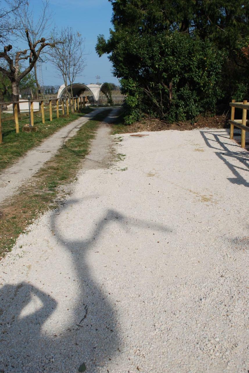 Agriturismo il Rovere Lonato Esterno foto