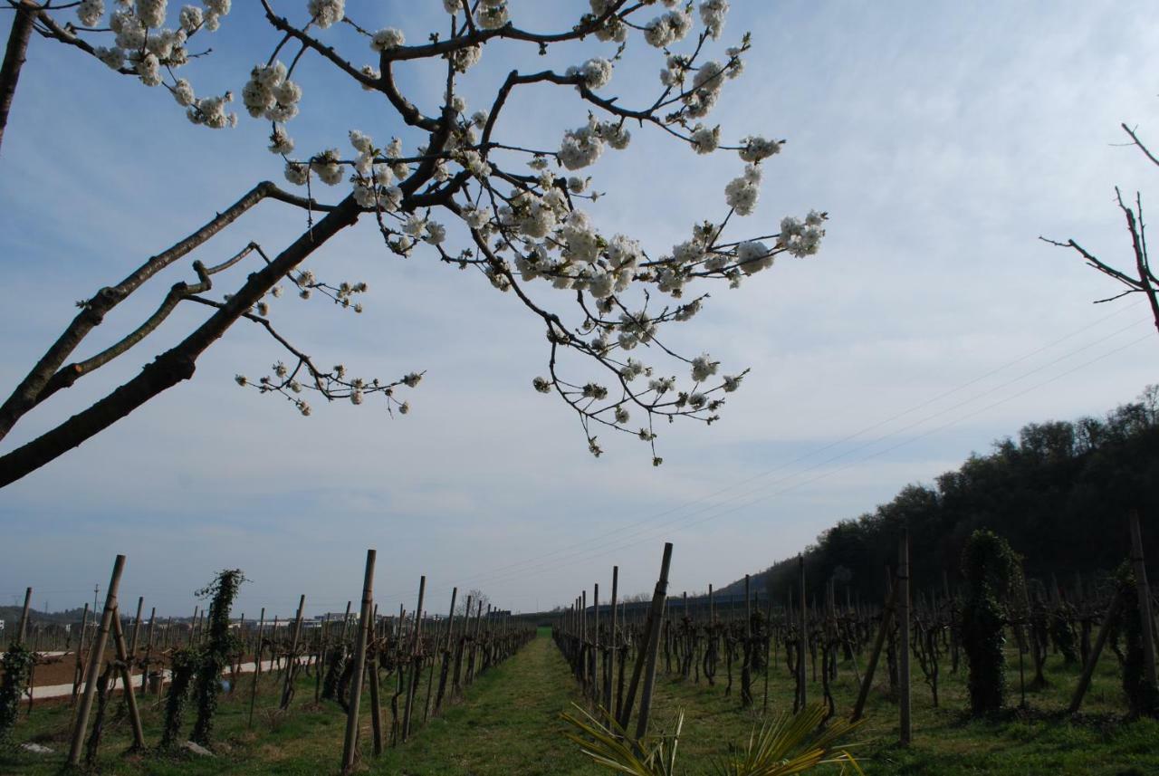 Agriturismo il Rovere Lonato Esterno foto